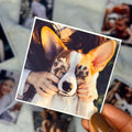 Custom photo magnet with a dog picture printed on premium glossy photo paper.